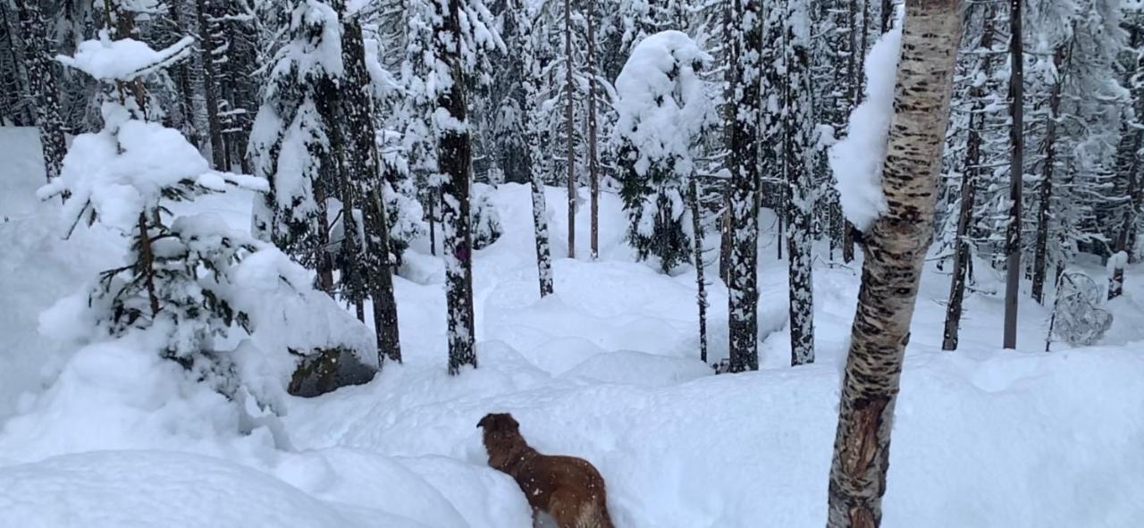 Chinook,la Praz,chamonix Mont Blanc Apartment