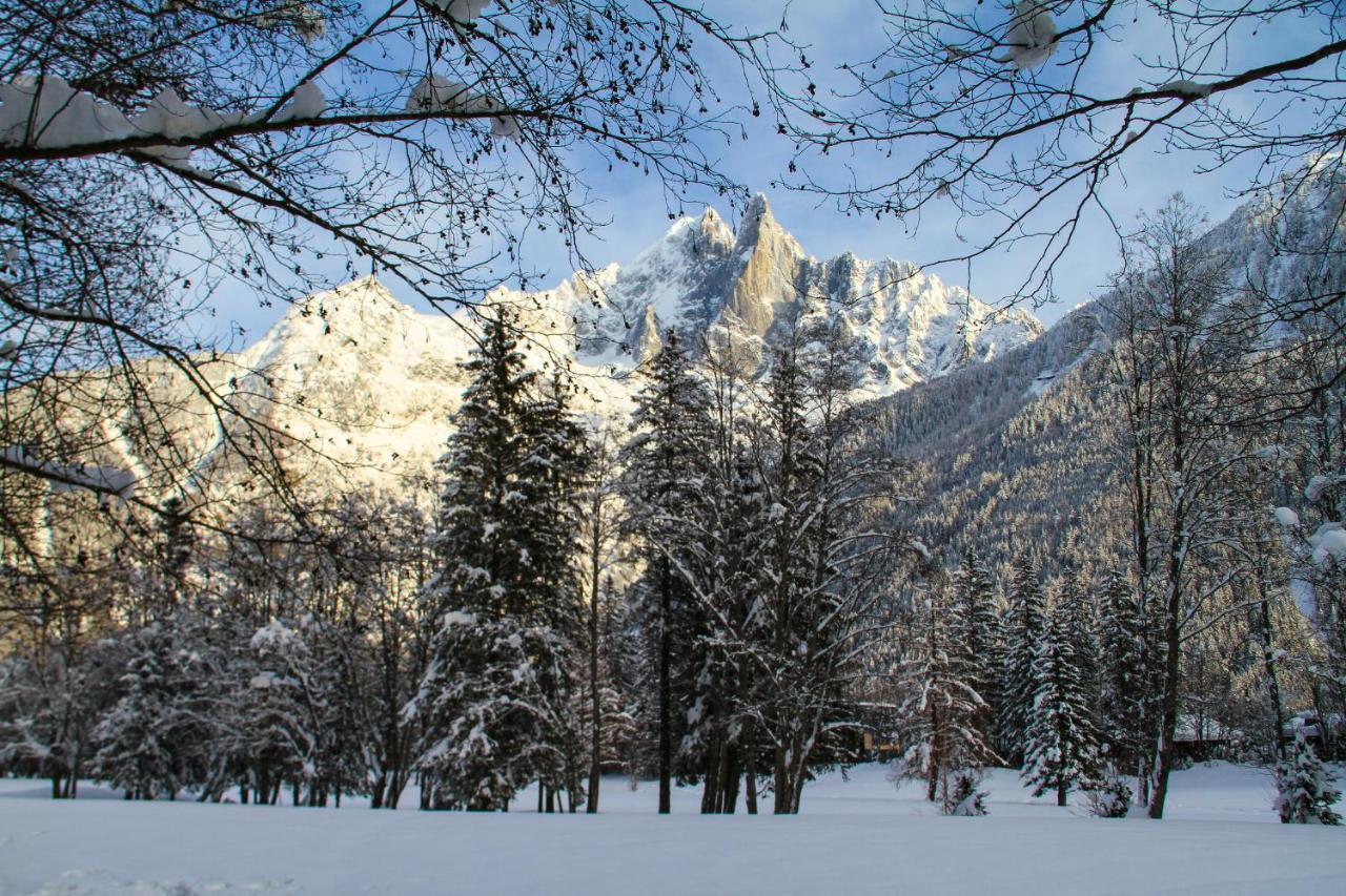 Chinook,la Praz,chamonix Mont Blanc * Chamonix