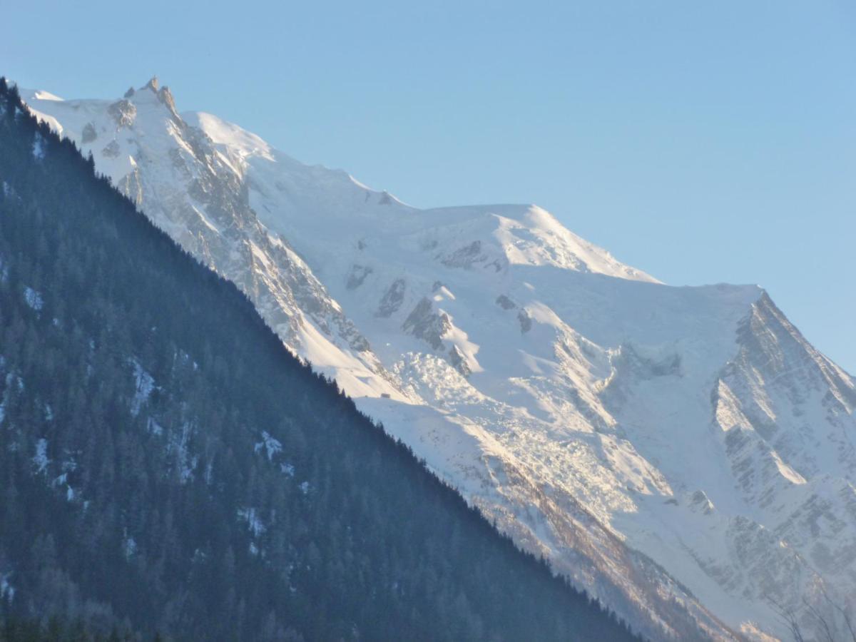 Arolles Apartment Chamonix