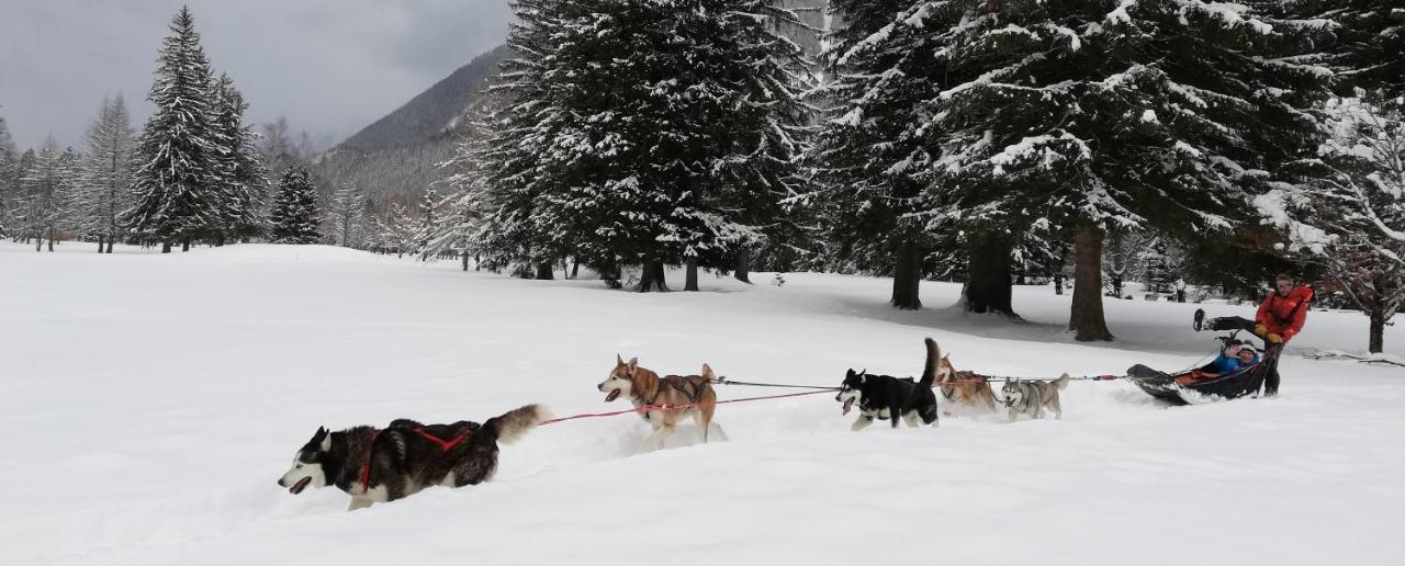 Apartment Evasion Serenite A Mont-blanc