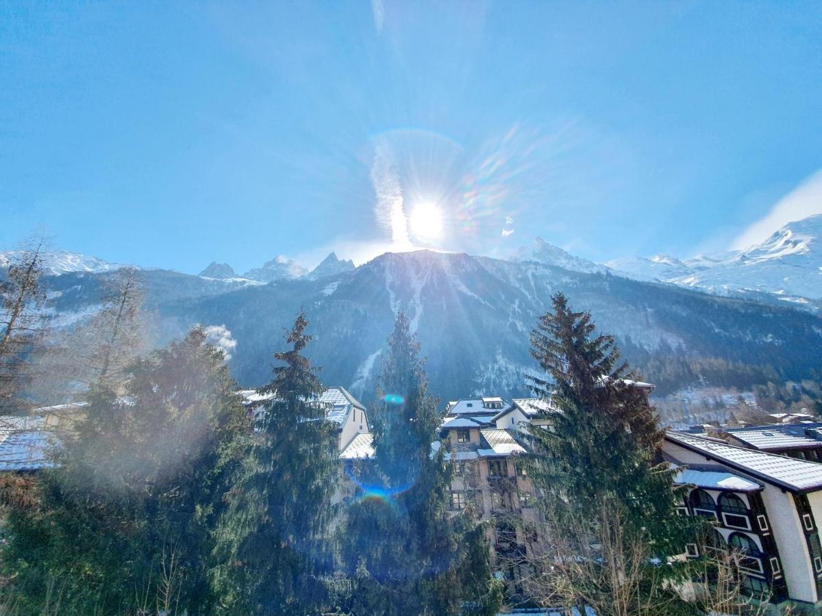 Apartment La Riviere Vue Mont Blanc *
