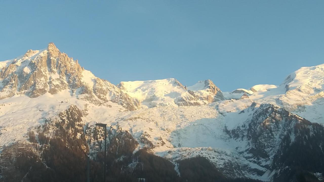 Apartment Plein Sud Vue Mont Blanc *