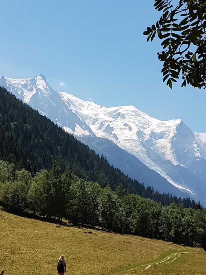 Typique,chaleureux Et Pratique * Chamonix