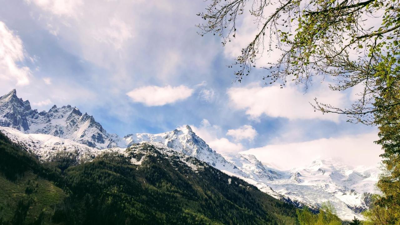 Au Pied Du Mont-blanc - * Chamonix