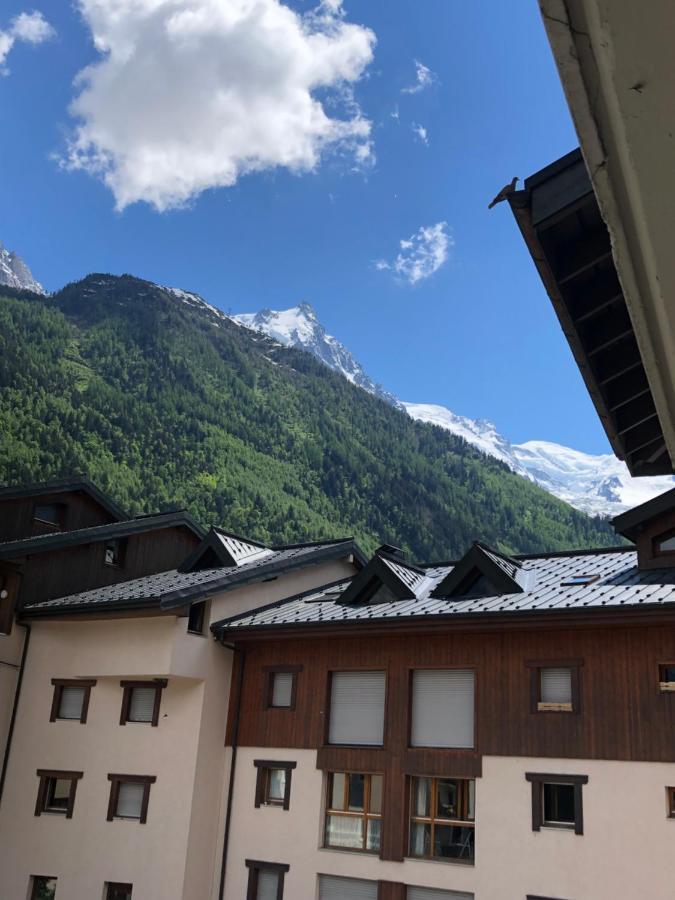 Apartment Grey Squirrel Chamonix