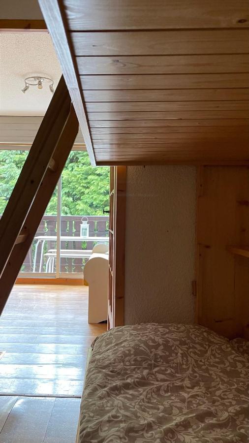 Cosy On The Slopes And Centre Of Appartement