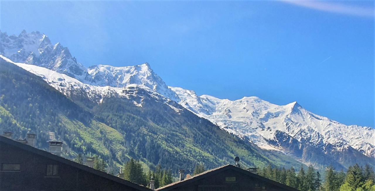 Superbe Vue Mont Blanc *
