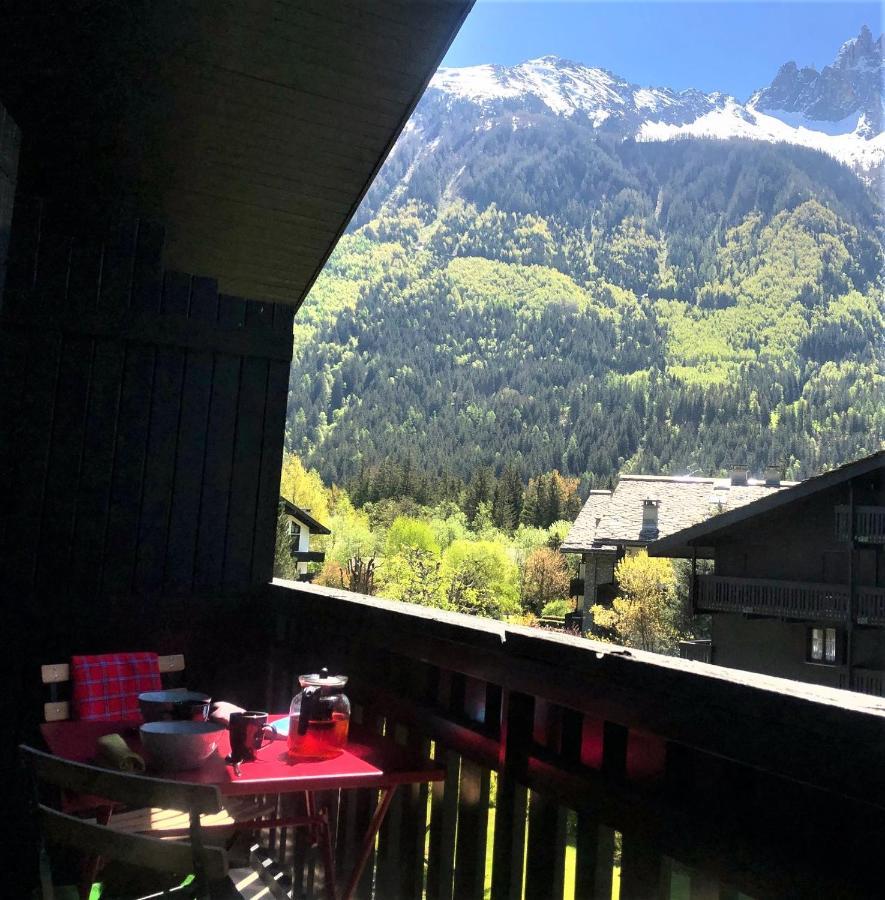 Apartment Superbe Vue Mont Blanc *