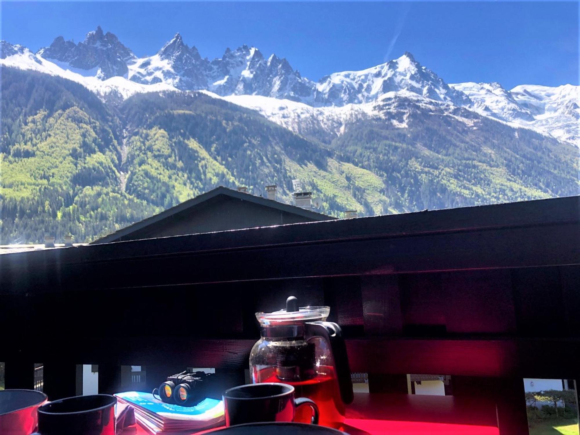 Superbe Vue Mont Blanc * Chamonix