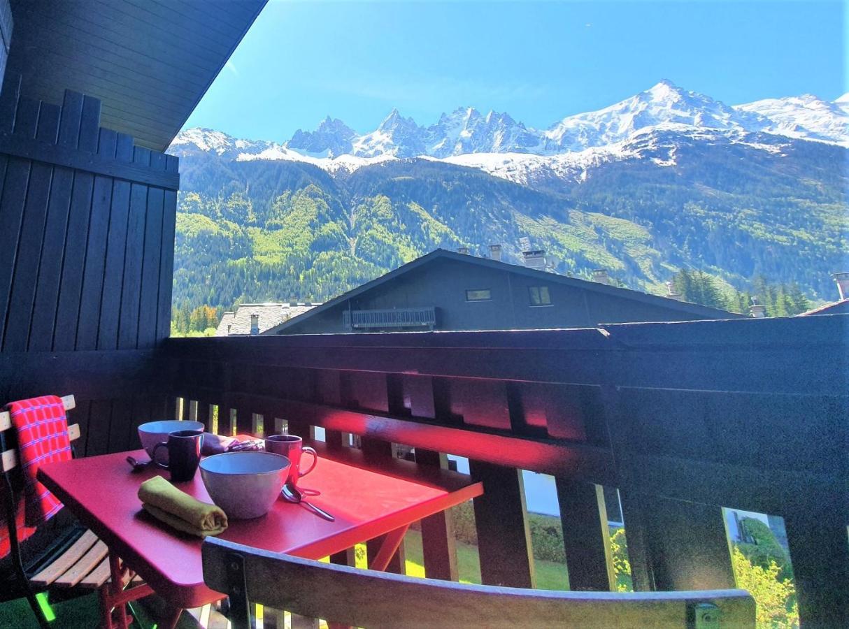 Superbe Vue Mont Blanc Apartment *