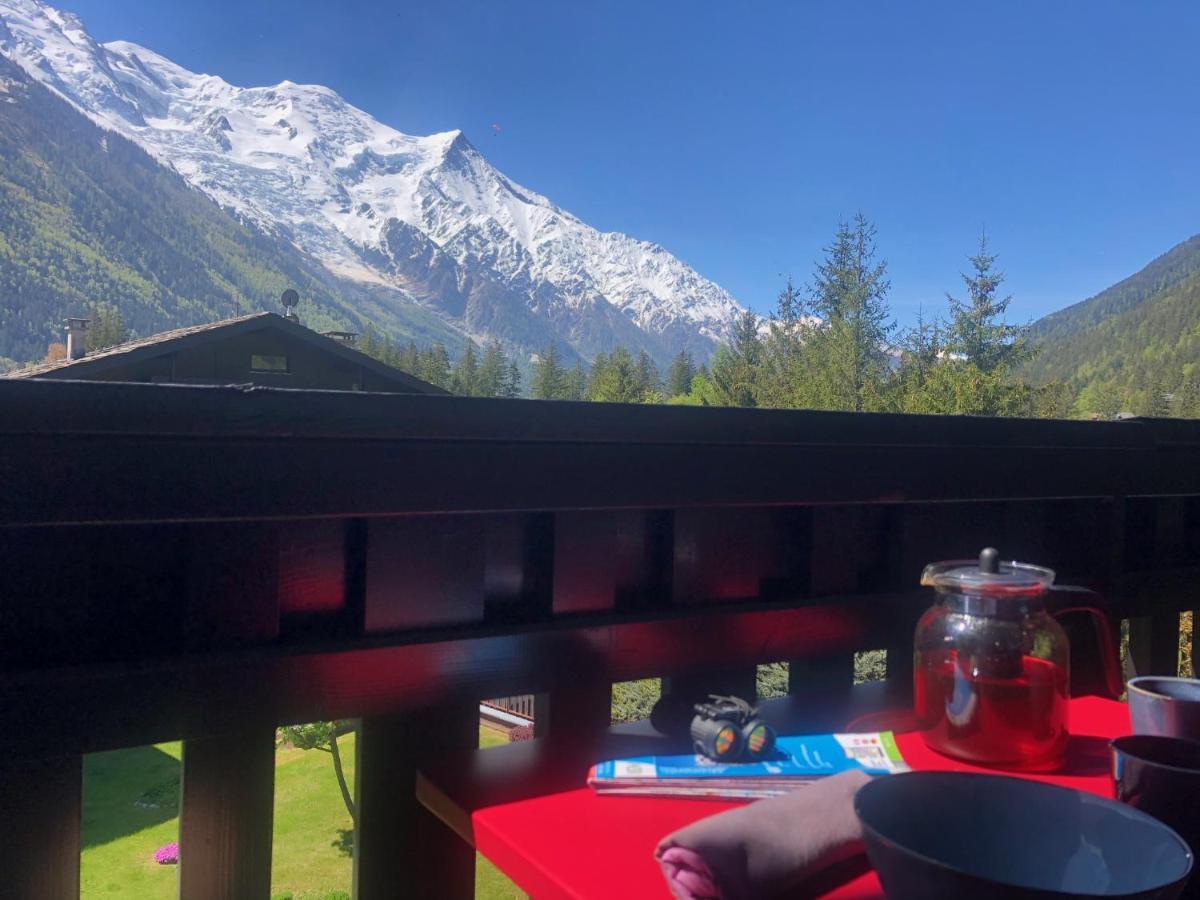 Superbe Vue Mont Blanc Apartment *