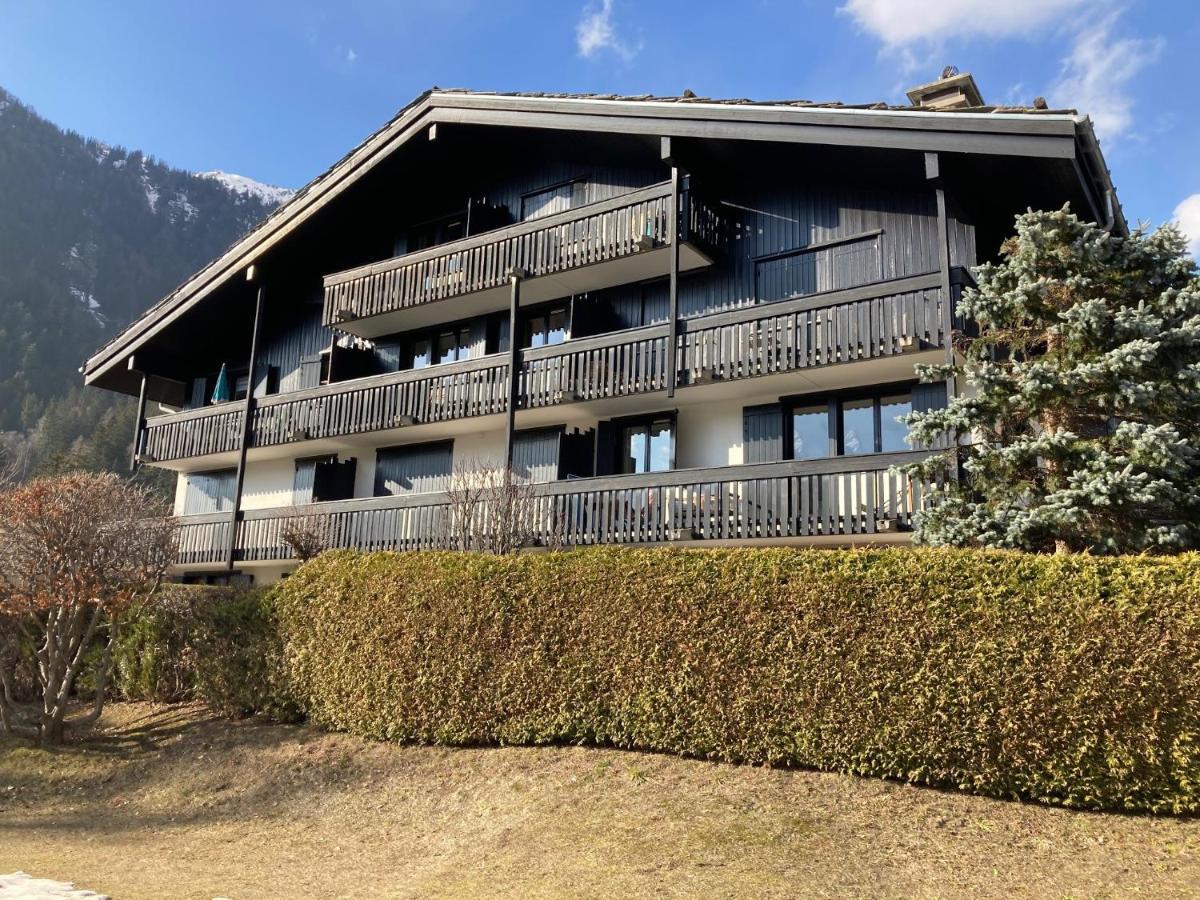 Superbe Vue Mont Blanc Chamonix
