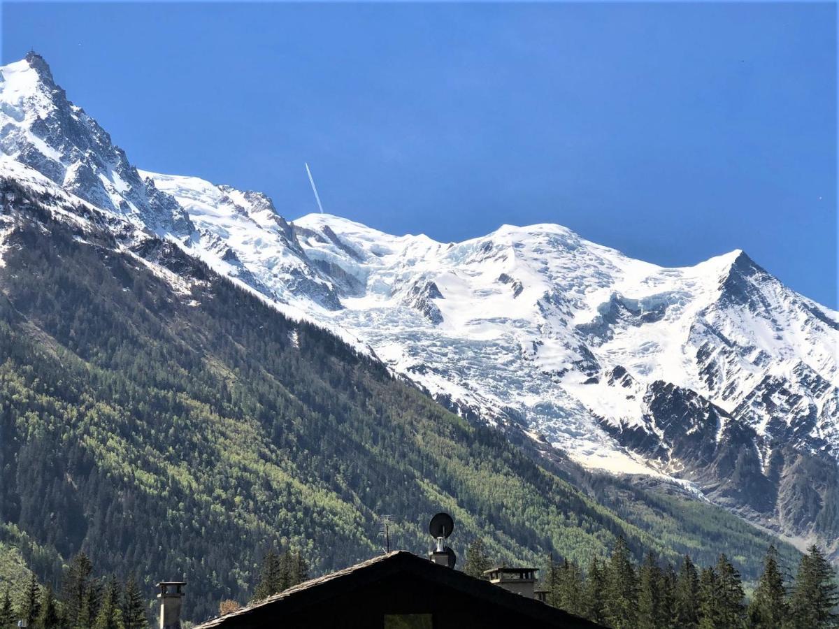 Superbe Vue Mont Blanc *