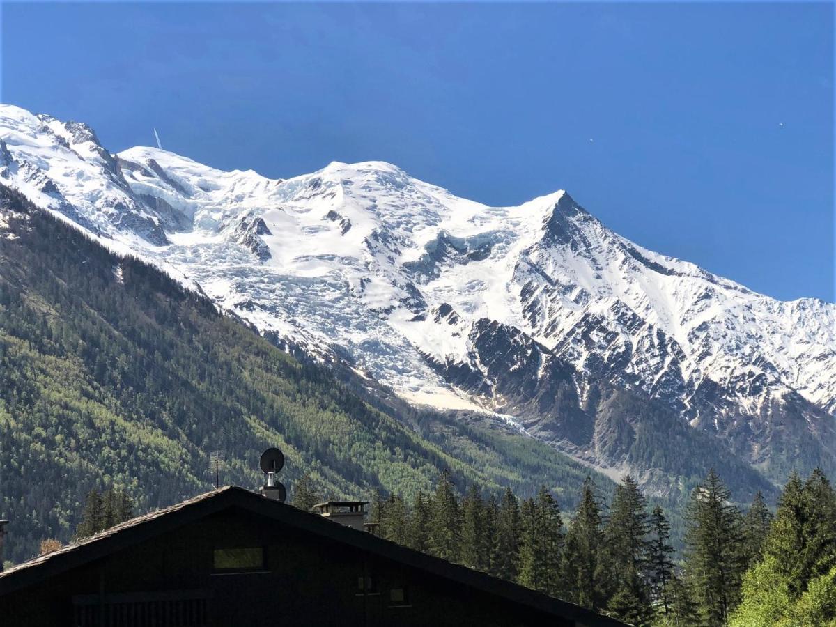 Superbe Vue Mont Blanc * Chamonix