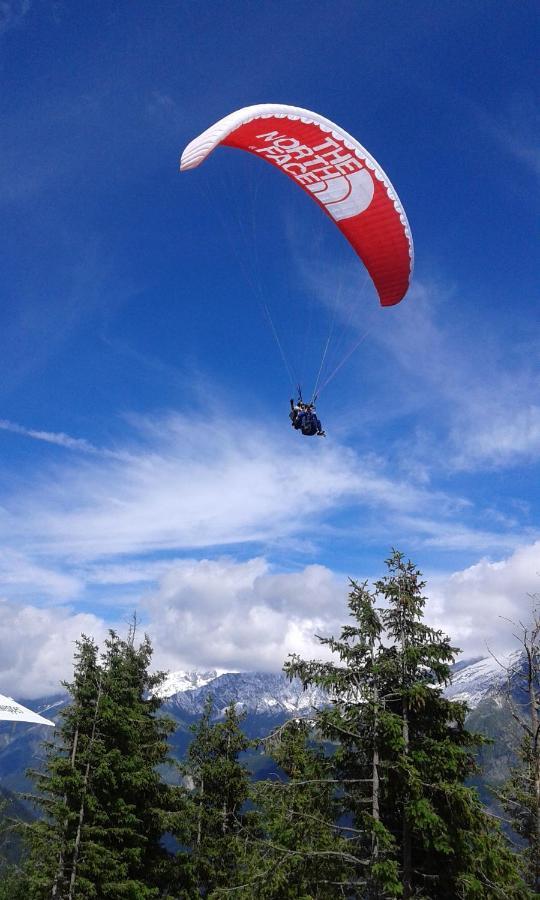 Appartement Le Chamoniard Chamonix