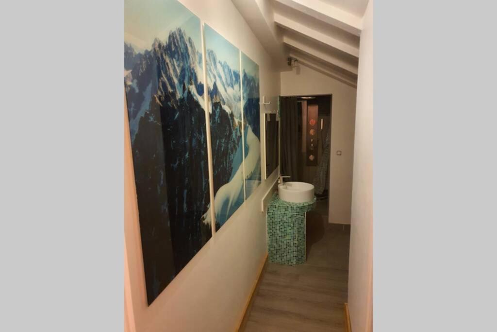 Les Duplex De L'aiguille Du Midi 100m2 12 Couchages Chamonix