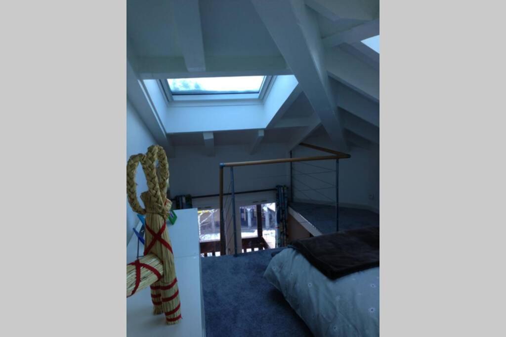 Les Duplex De L'aiguille Du Midi 100m2 12 Couchages * Chamonix