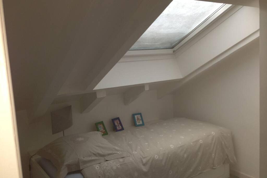 Les Duplex De L'aiguille Du Midi 100m2 12 Couchages *