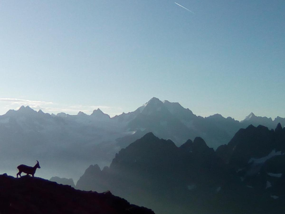 Appartement Le Chamoniard Chamonix