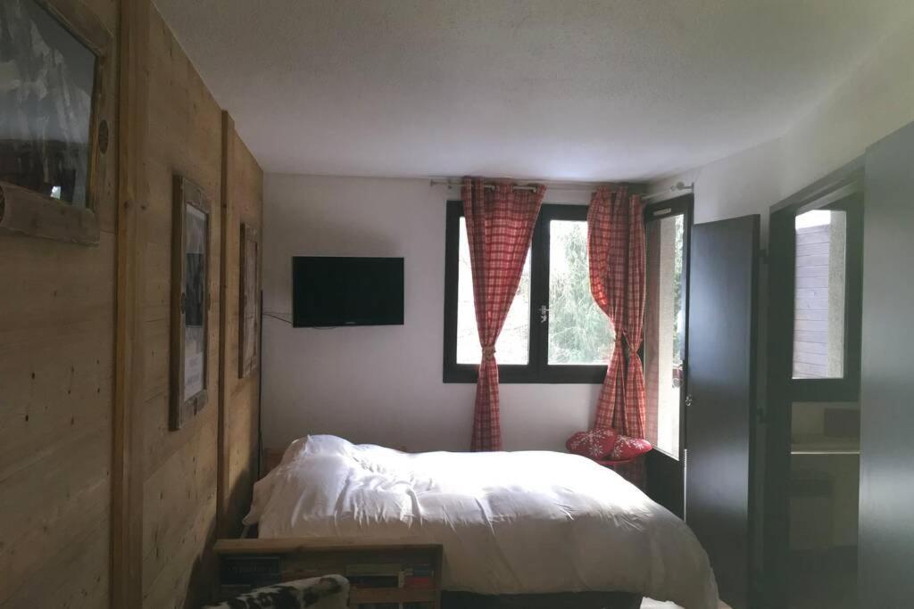 Appartement, Centre Ville, Vue Mont-blanc Chamonix