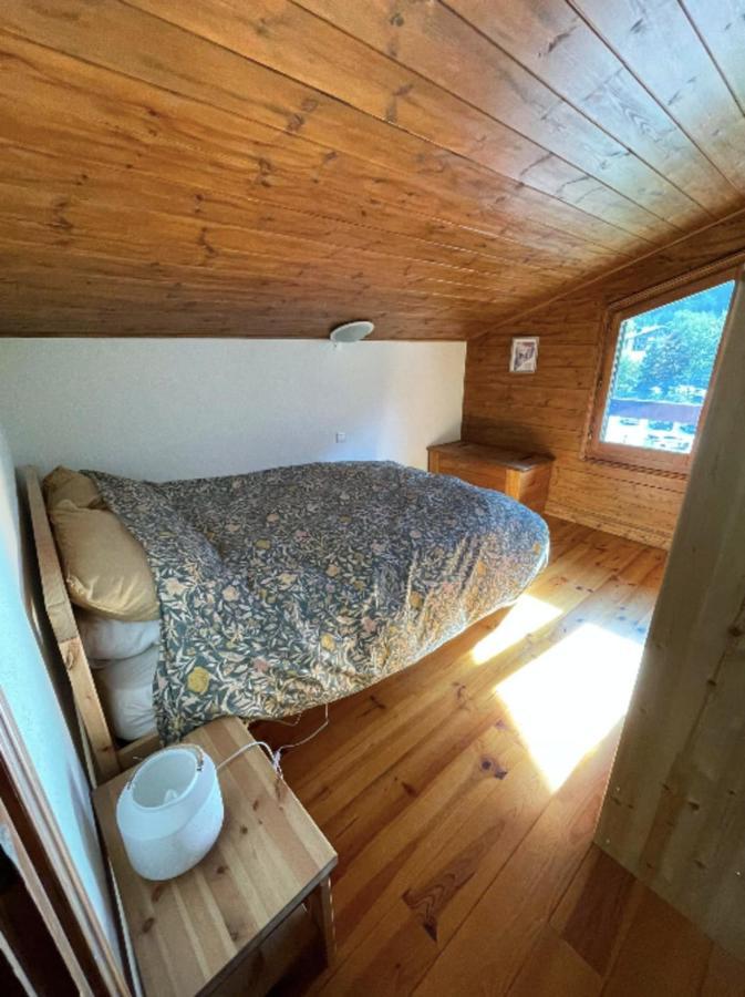 Apartment Mont Blanc View In The Heart Of Chamonix