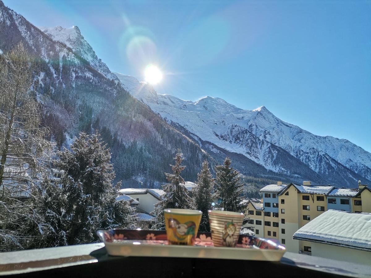 Studio Face Au Mont-blanc Chamonix
