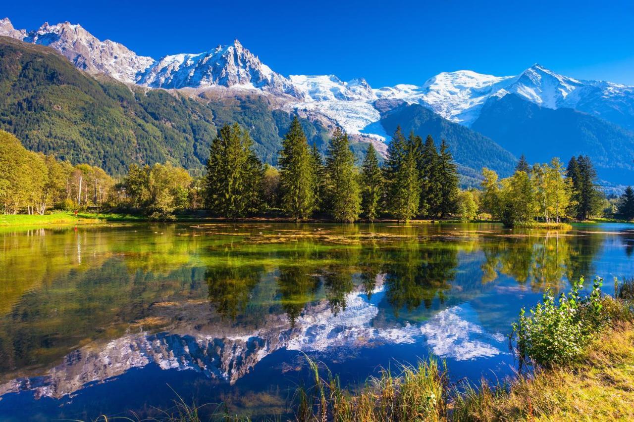 Appartement Sud - Jonquilles 30 - Happy Chamonix