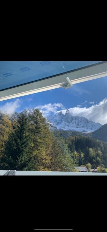 Pleine Vue & Apartment *