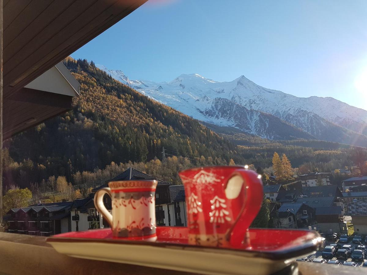 Vue Montblanc Magique En Centre-ville Avec Parking Apartment Chamonix