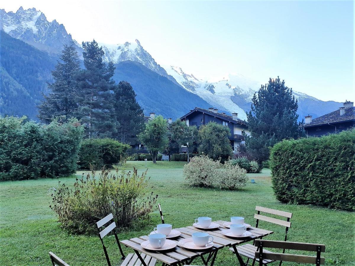 Rez De Jardin - Vue Mont Blanc