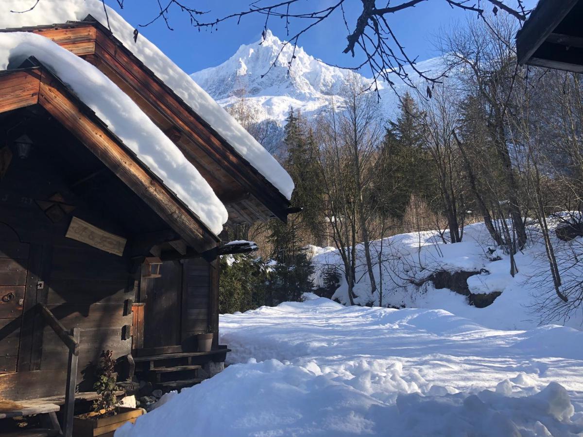Chalet Petit Chalet Montagnard Cosy !