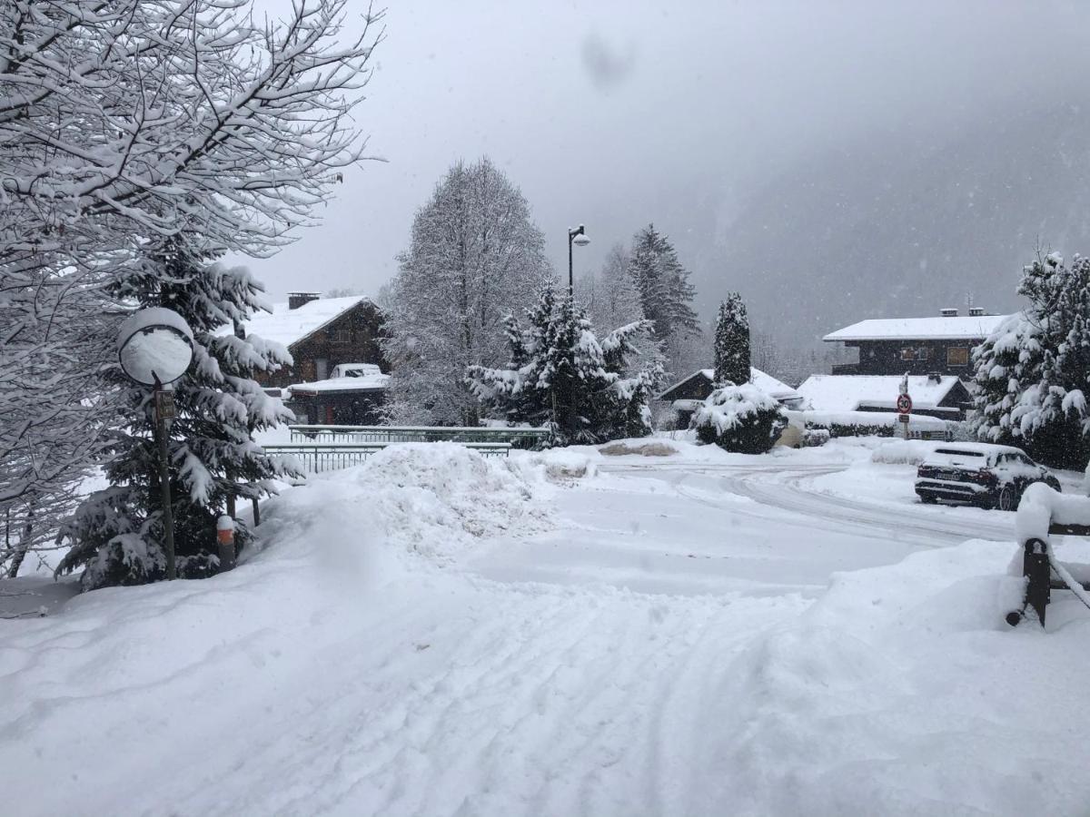 Chalet Petit Chalet Montagnard Cosy ! Chamonix