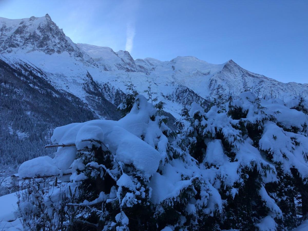 Mont Blanc 43, Vue Mont Blanc , Balcon, Parking Appartement *