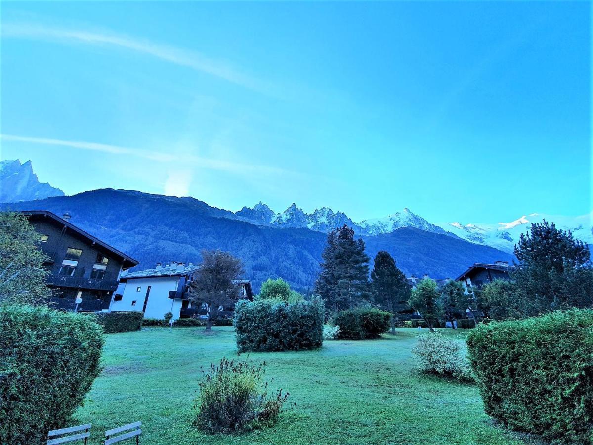 Appartement Rez De Jardin - Vue Mont Blanc *
