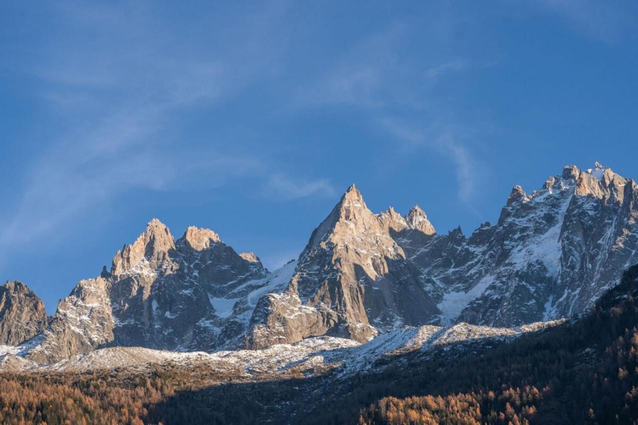 Portes Du Brevent -1 Bedroom With Magnificient Mont Blanc Views Appartement *