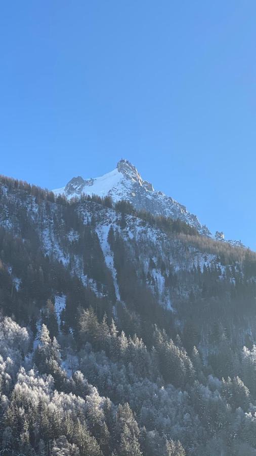 Apartment Chamois De Chamonix, Confortable 2 Pieces, Balcon, Parking Gratuit