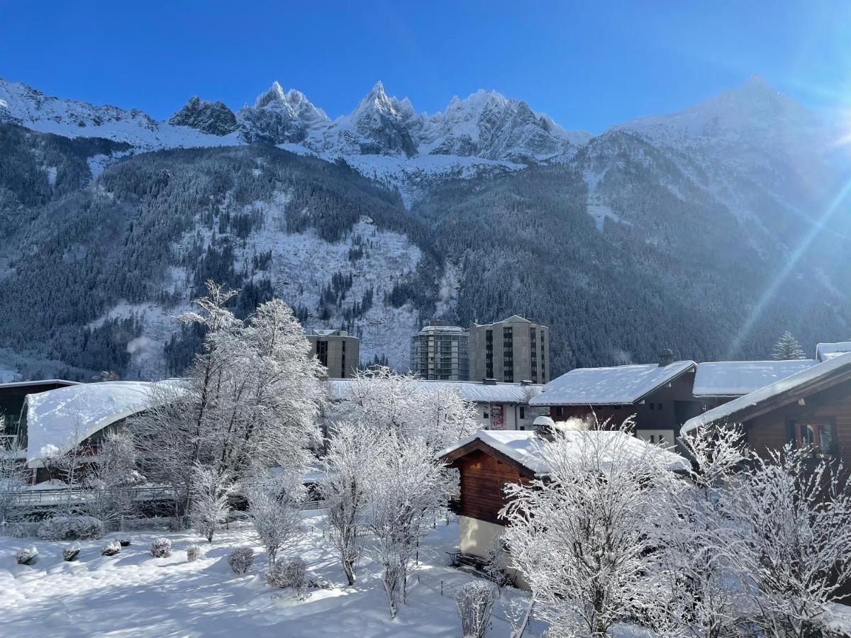Apartament Z Widokiem Na Mt Blanc Apartment Chamonix
