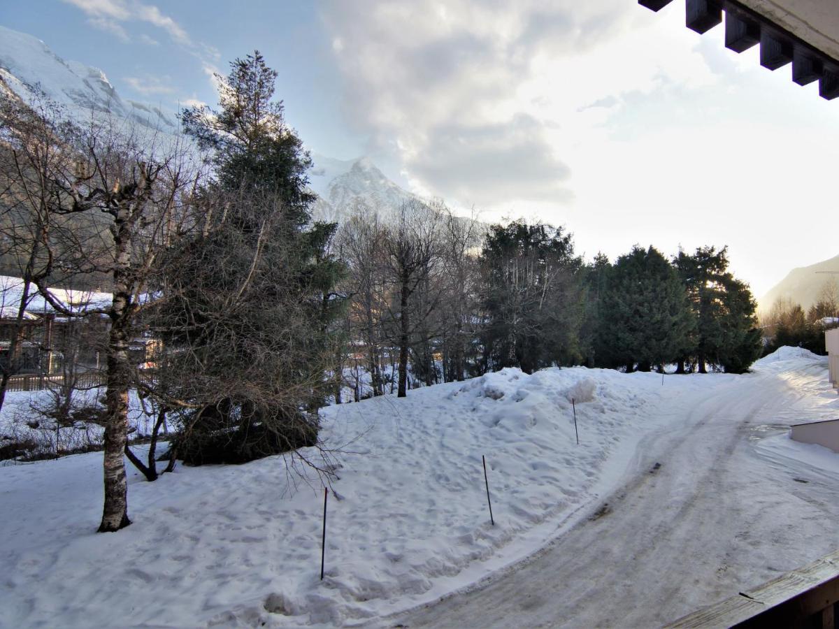 Appartement Arve 1 Et 2-4 Chamonix