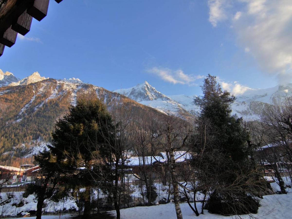 Arve 1 Et 2-4 Appartement *