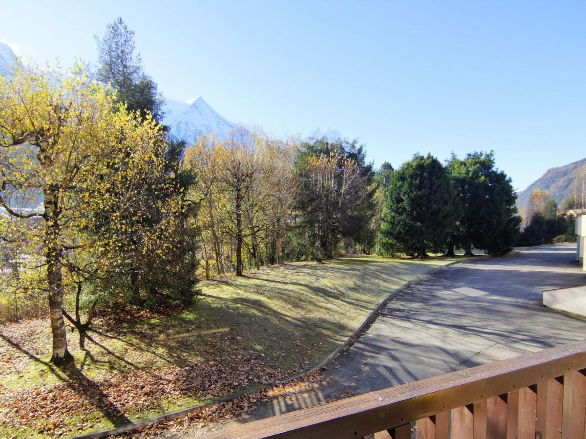 Arve 1 Et 2-4 Appartement Chamonix
