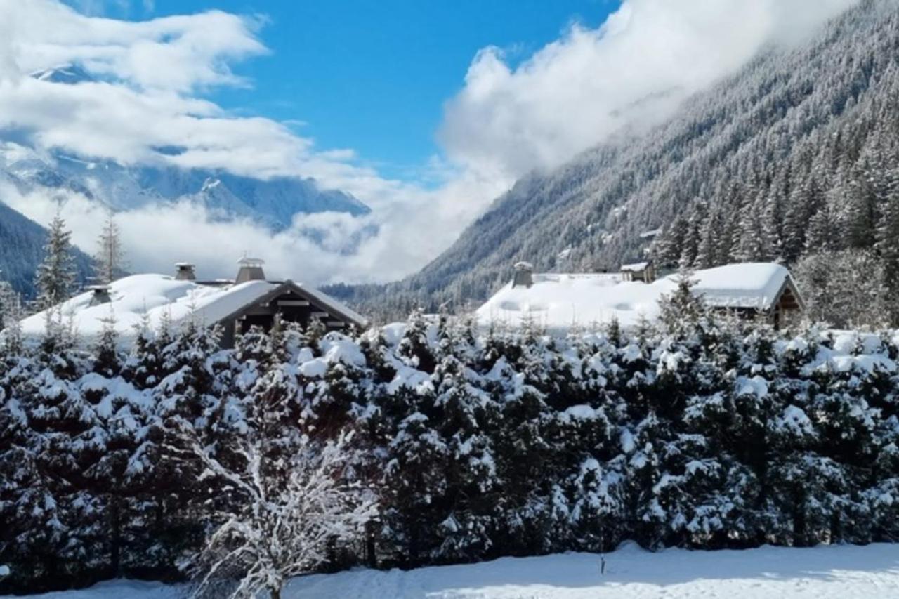 Charming With Swimming Pool In Argentiere Apartment