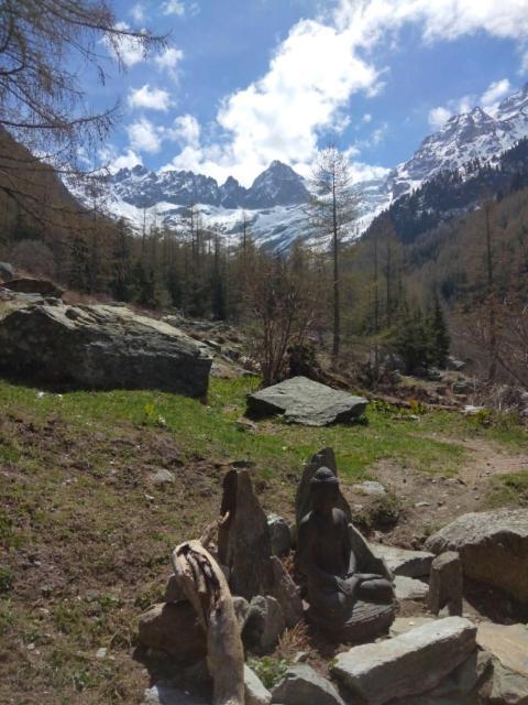 Le Chamoniard Appartement Chamonix