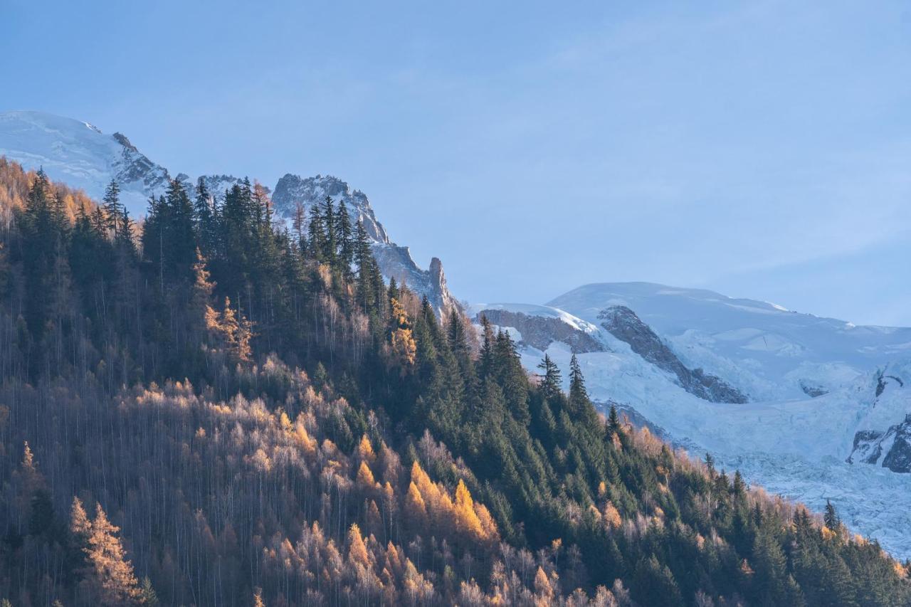 Apartment Sud With Mont Blanc Views Chamonix