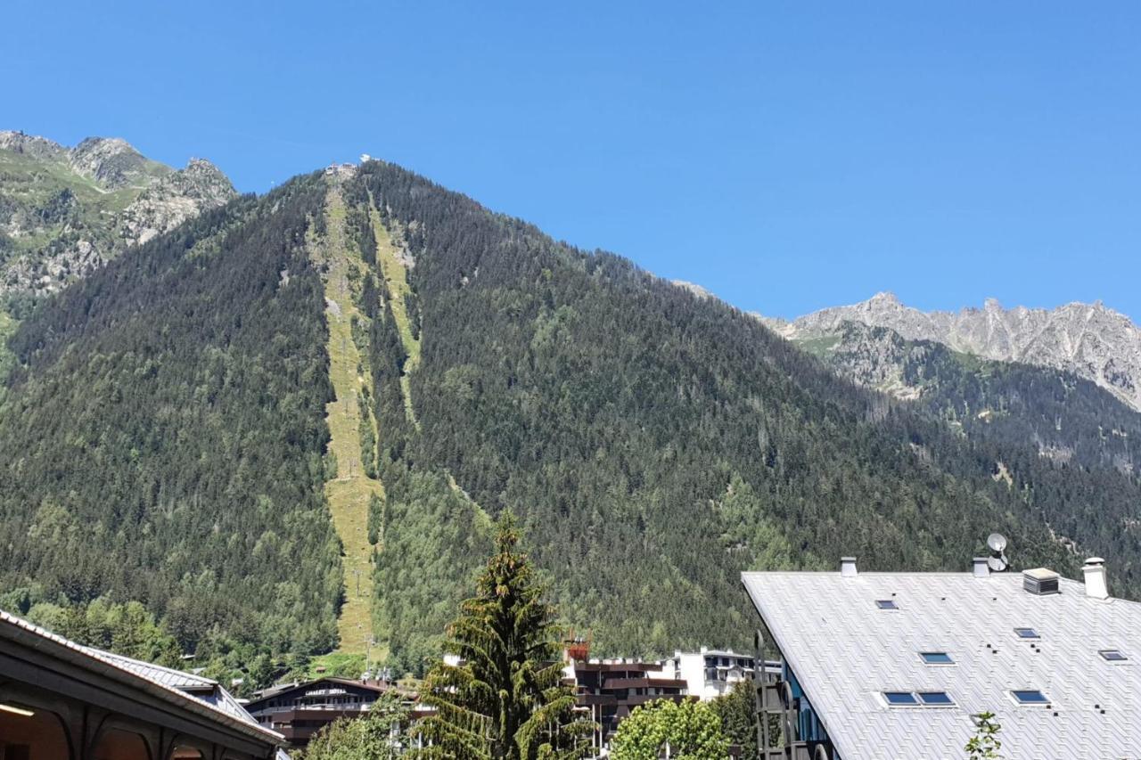 Apartment 32m With Balcony View On The Mountain Chamonix