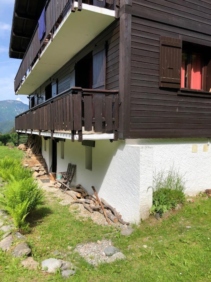 Cosy Au Pied Du Mtblanc *