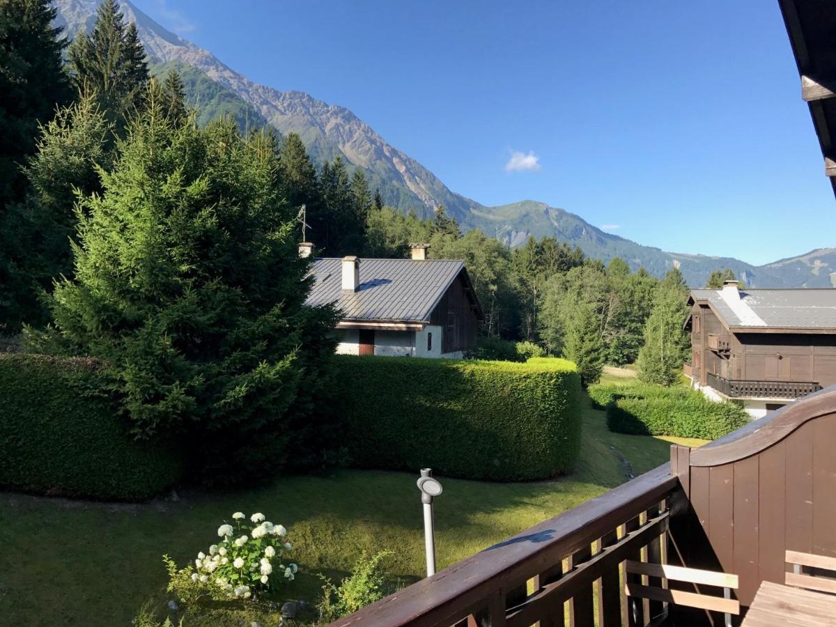 Cosy Au Pied Du Mtblanc Chamonix