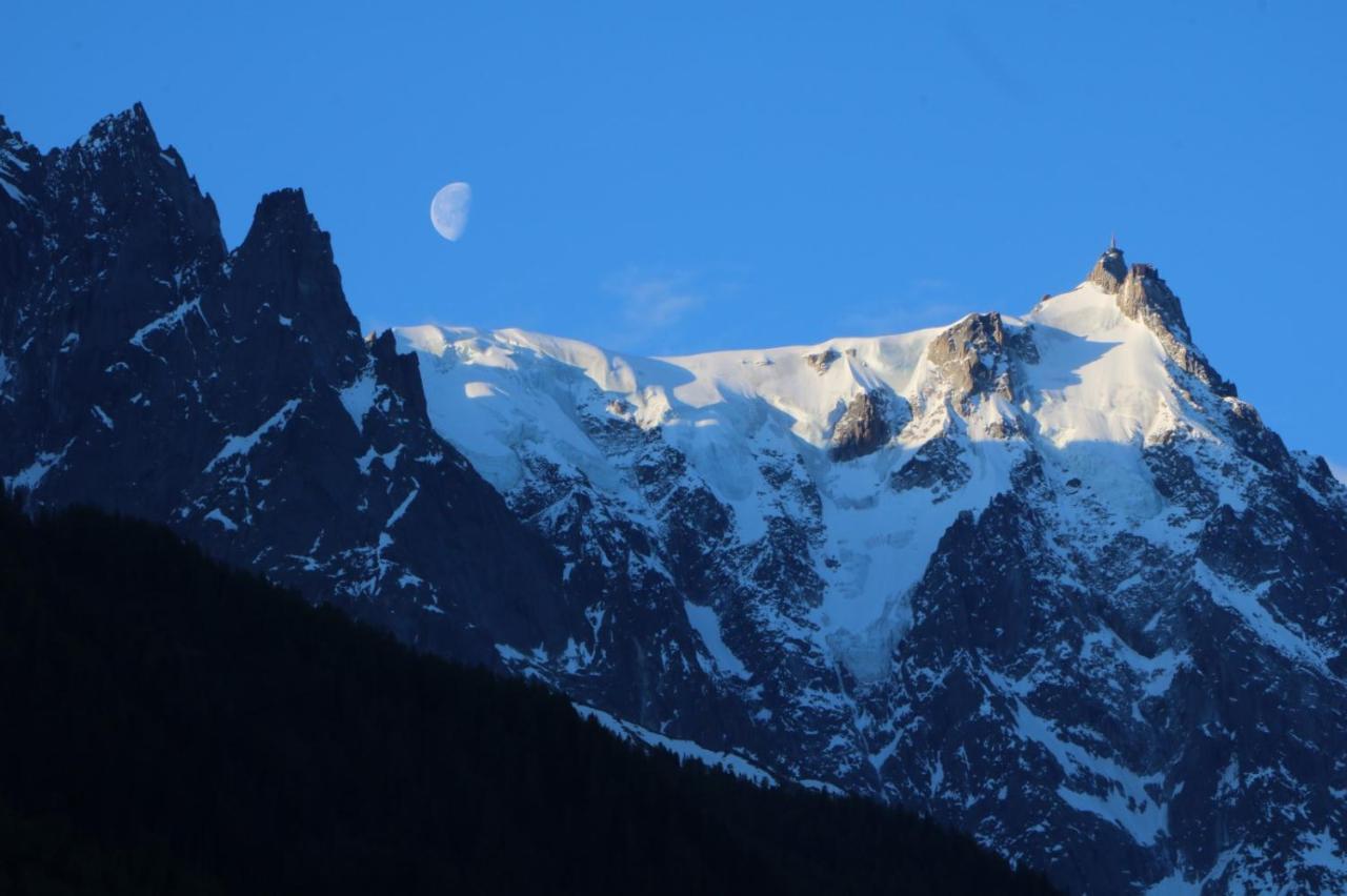 Pleine Vue & Apartment Chamonix