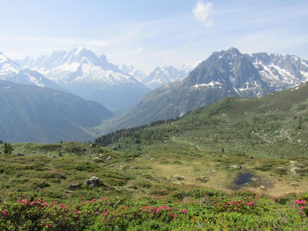 Les Grands Montets Hotel & Spa Hotel Chamonix
