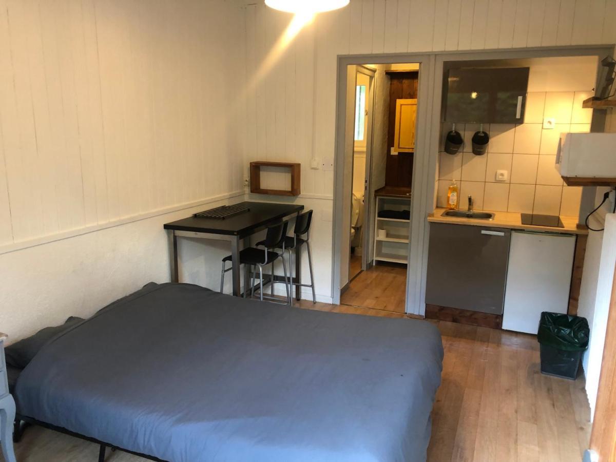 Studio Avec Petit Jardin Et Terrasse Vue Mont-blanc Appartement Chamonix