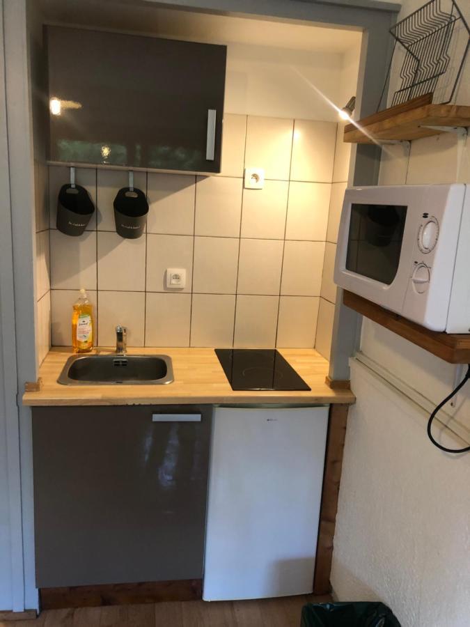 Appartement Studio Avec Petit Jardin Et Terrasse Vue Mont-blanc *